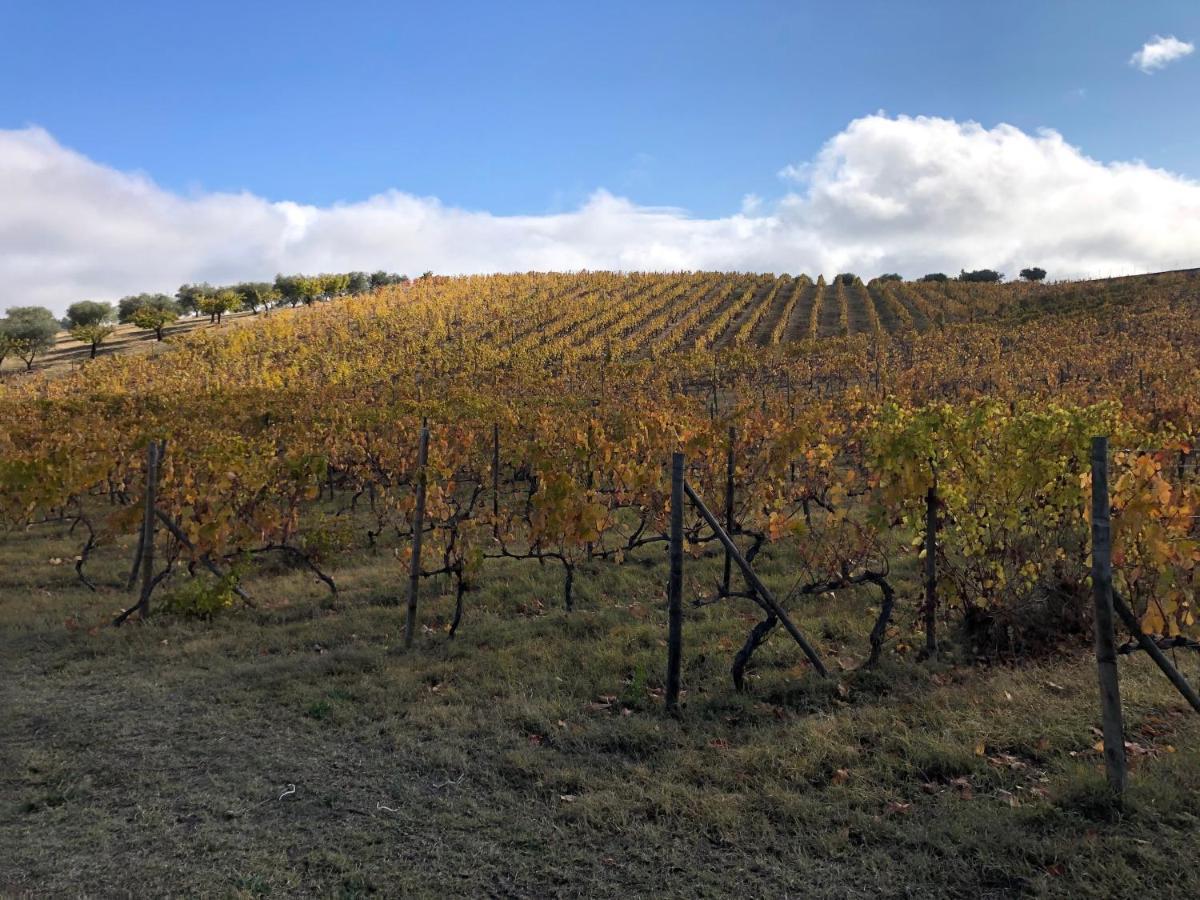 Quinta Da Pereira E Enricas Agro-Turismo Ξενοδοχείο Vila Flor Εξωτερικό φωτογραφία