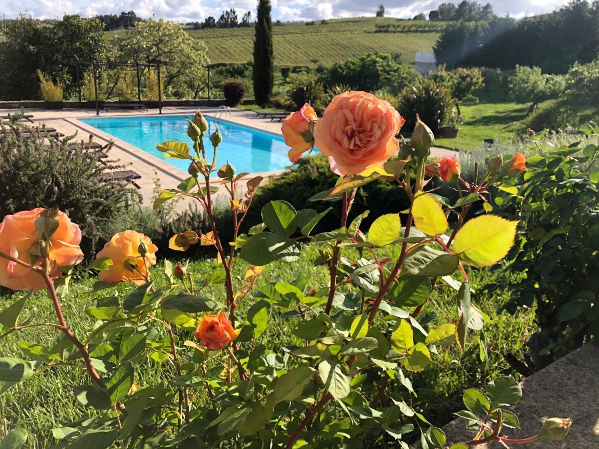 Quinta Da Pereira E Enricas Agro-Turismo Ξενοδοχείο Vila Flor Εξωτερικό φωτογραφία