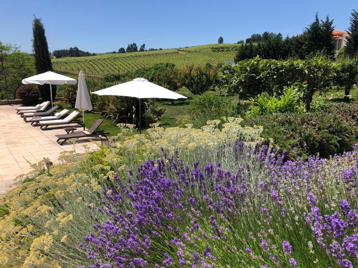 Quinta Da Pereira E Enricas Agro-Turismo Ξενοδοχείο Vila Flor Εξωτερικό φωτογραφία