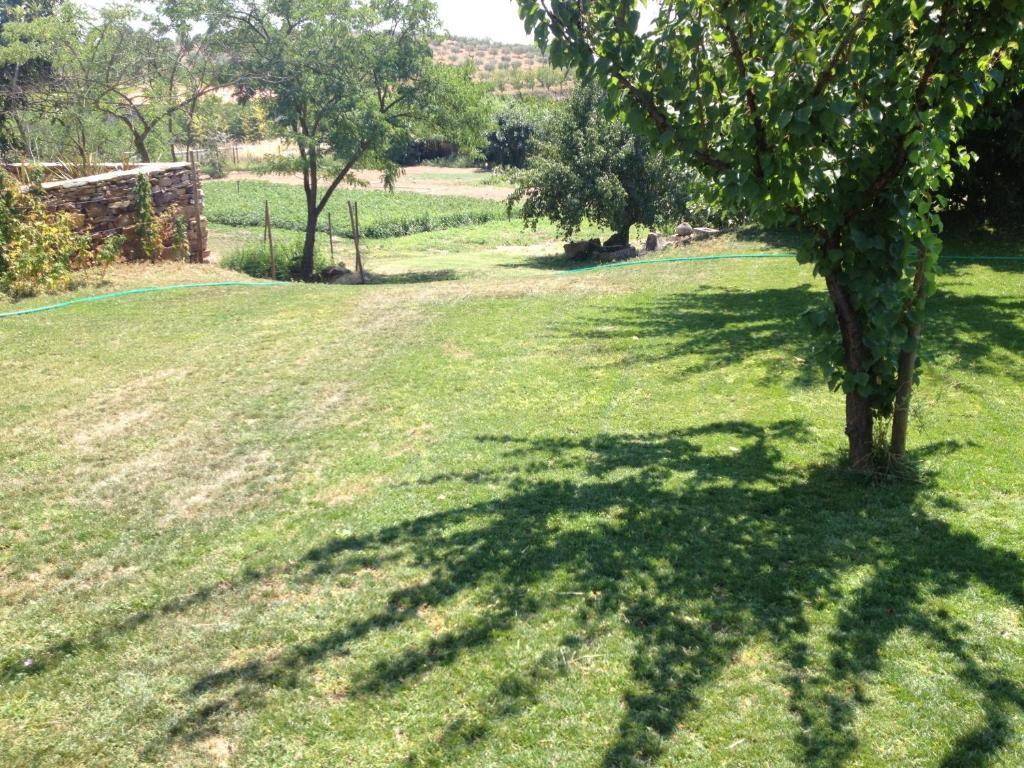 Quinta Da Pereira E Enricas Agro-Turismo Ξενοδοχείο Vila Flor Εξωτερικό φωτογραφία