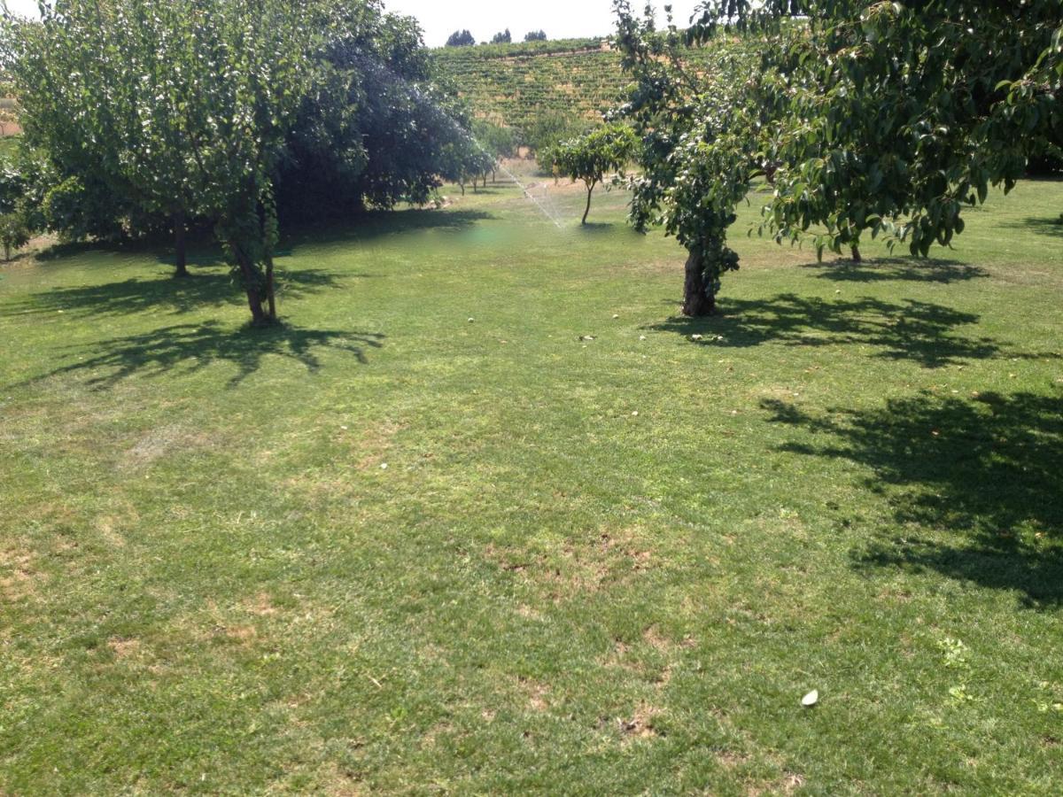 Quinta Da Pereira E Enricas Agro-Turismo Ξενοδοχείο Vila Flor Εξωτερικό φωτογραφία