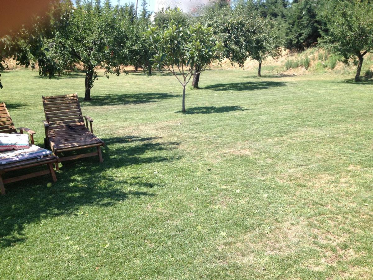 Quinta Da Pereira E Enricas Agro-Turismo Ξενοδοχείο Vila Flor Εξωτερικό φωτογραφία